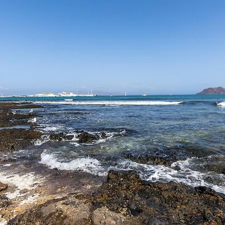 Palm House 度假居 *