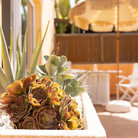 Prázdninový dům Palm House