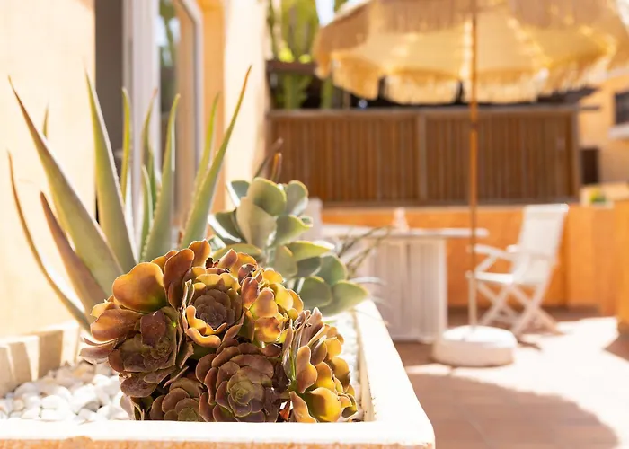 Tatil Evi Palm House