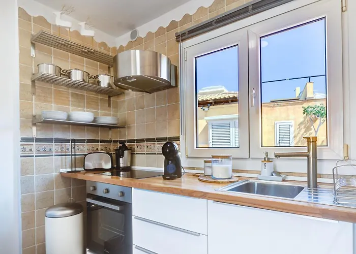 Palm House * Corralejo